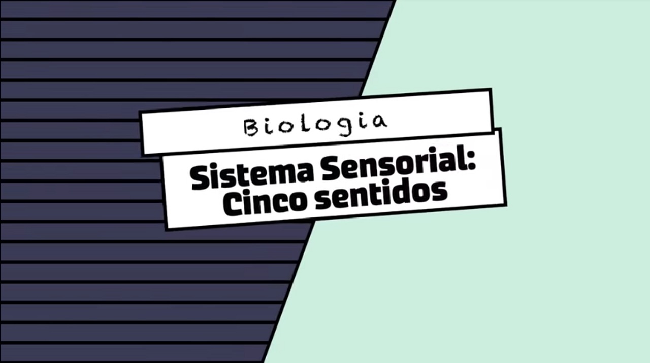 Escrito"Biologia Sistema Sensorial: Cinco sentidos" em fundo verde claro e cinza escuro.