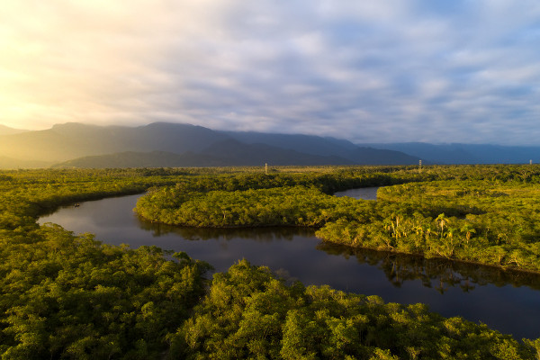 Rio Amazonas em referência ao Dia da Amazônia.