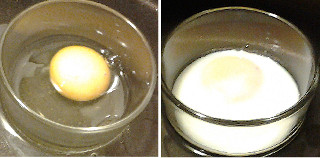 A desnaturação da albumina torna a clara do ovo branca *