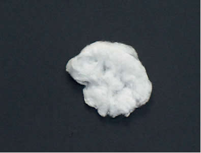 Imagem de algodão-pólvora (nitrocelulose)*