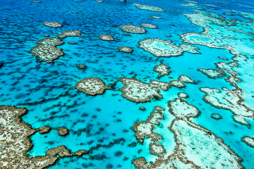 A Grande Barreira de Corais na Austrália é o maior recife de corais do mundo
