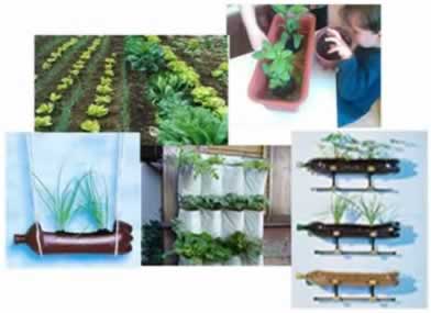 A horta é um excelente meio para potencializar o aprendizado do aluno e despertar seu interesse para a alimentação saudável