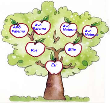 A árvore genealógica é um bom exemplo de homonímia e hiperonímia
