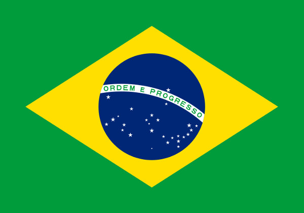 A nova bandeira do Brasil foi adotada no dia 19 de novembro de 1889, quatro dias após a Proclamação da República.