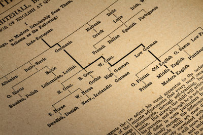 A “família” das línguas latinas, à qual o português está vinculado, descende dos povos indo-europeus