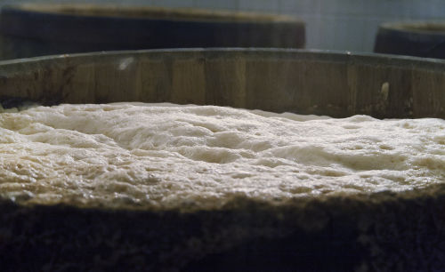 A fermentação pode ser usada para fins econômicos, como é o caso da produção de cerveja