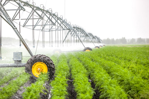 A irrigação das lavouras é uma das técnicas empregadas na Agricultura Intensiva
