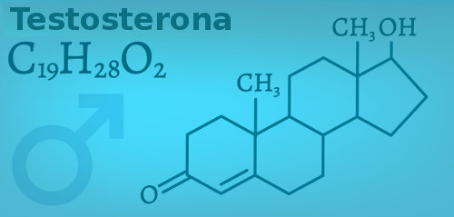 A testosterona é um hormônio produzido em ambos os sexos, e suas fórmulas químicas estão representadas acima