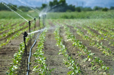 O que é agricultura? - Brasil Escola