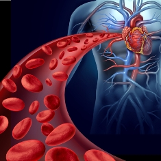 As hemácias são células sanguíneas que apresentam formato bicôncavo