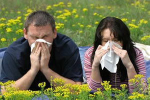 Algumas pessoas têm alergia ao pólen das flores