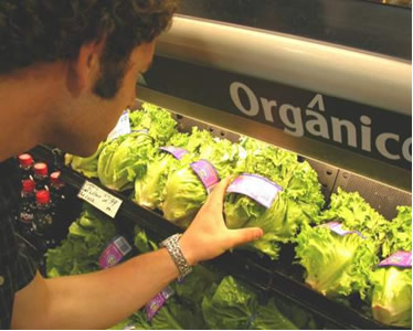 Os alimentos orgânicos são uma categoria de produtos específicos
