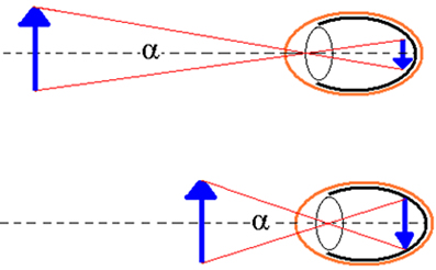 O tamanho da imagem formada na retina é proporcional ao tamanho do objeto e ao ângulo de visão α. Quanto mais próximo, maior será o ângulo de visão e maior a imagem