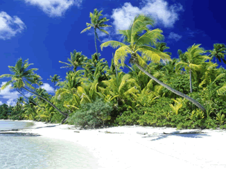 Belezas naturais das Ilhas Salomão  