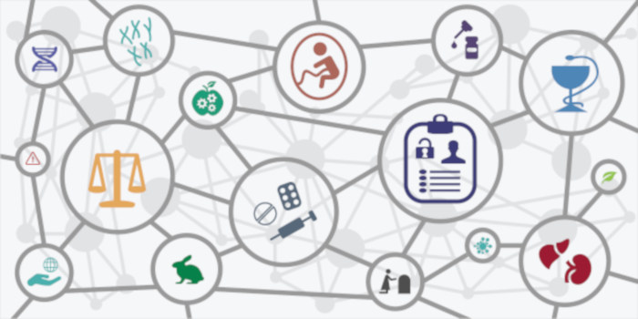 A Bioética é uma área de estudo interdisciplinar que envolve a Ética e a Biologia.