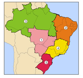 brasil(1).jpg