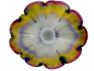 Cromatografia feita em papel de filtro com tintas de caneta de diversas cores
