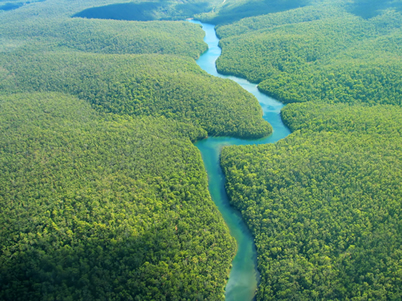 Amazônia, a maior floresta tropical do planeta