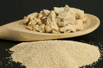 O fermento de padaria é utilizado na fabricação de pães e é composto pelo fungo Saccharomyces cerevisiae