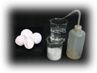 Materiais necessários para realizar o experimento de densidade do ovo em água