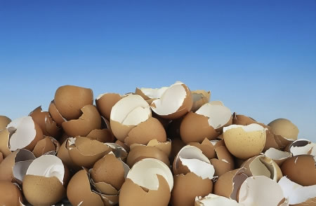 O principal constituinte das cascas de ovos é o carbonato de cálcio