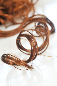 Os fios de cabelos são formados por três camadas básicas: uma cutícula, um córtex e a medula