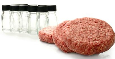 Pesquisadores conseguem produzir carne em laboratório