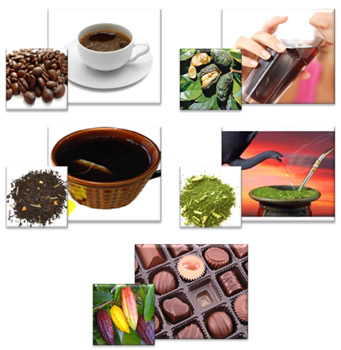 Alimentos e bebidas que são as principais fontes de cafeína