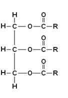 Fórmula estrutural do triglicerídeo.