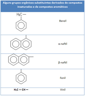 Grupos orgânicos substituintes derivados de compostos insaturados e de aromáticos