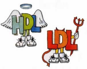 HDL- Bom colesterol; LDL- Mau colesterol