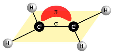 Ligação sigma e pi representadas em uma molécula orgânica