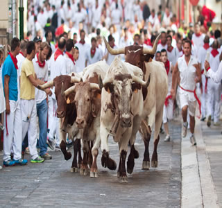 Corredores em encierro corrida de touros em pamplona espanha corrida de  touros em pamplona festival tradicional de san fermin onde os participantes  correm à frente dos touros pelas ruas até a praça