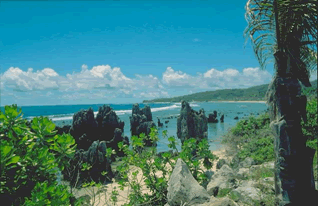 Belezas naturais de Nauru