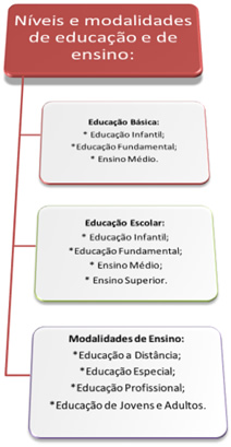 Saiba como é a divisão do sistema de educação brasileiro