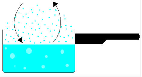 No equilíbrio, os processos de evaporação e condensação ocorrem ao mesmo tempo