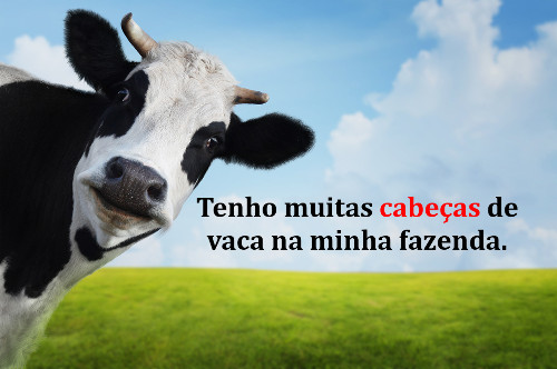 Imagem de uma vaca ao lado da frase "tenho muitas cabeças de vaca na minha fazenda", um exemplo de metonímia.