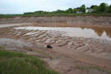 O assoreamento é o acúmulo de sedimentos nos cursos d'água, como rios e córregos