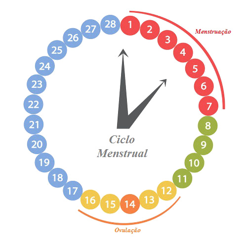 MENSTRUAÇÃO  www.