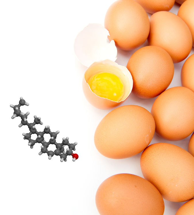 O ovo é fonte de colesterol