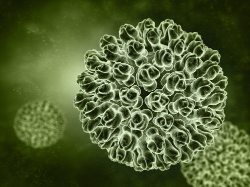 O rotavírus é um vírus responsável por desencadear uma doença diarreica