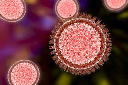 Os vírus são organismos acelulares, ou seja, que não possuem células