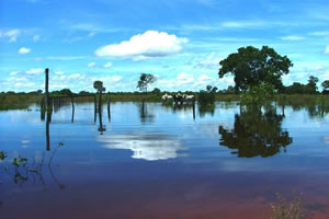 Pantanal - Refúgio Ecológico