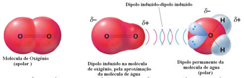 Polarização da molécula apolar do oxigênio pela aproximação com uma molécula polar da água