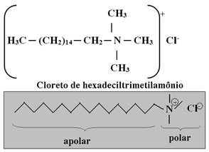 Surfactante de sal quaternário de amônio: cloreto de hexadeciltrimetilamônio