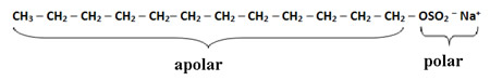 Composição do tensoativo aniônico dos xampus, o lauril ou dodecilsulfato de sódio