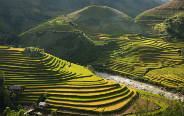 Terraços utilizados na rizicultura, no continente asiático