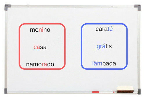 Acentos gráficos, problemas de gramática e do uso da língua, e o