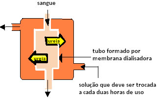 Esquema de um tubo formado por membrana dialisadora usado em hemodiálise