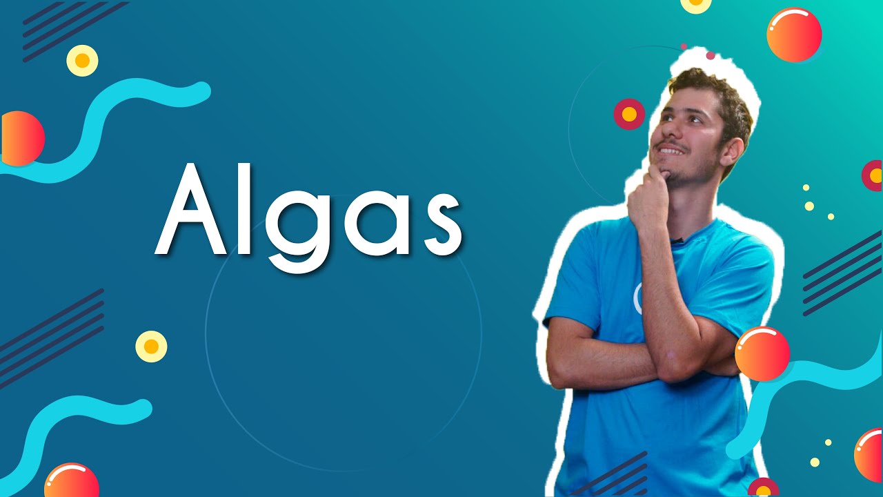 "Algas" escrito sobre fundo azul ao lado da imagem do professor
